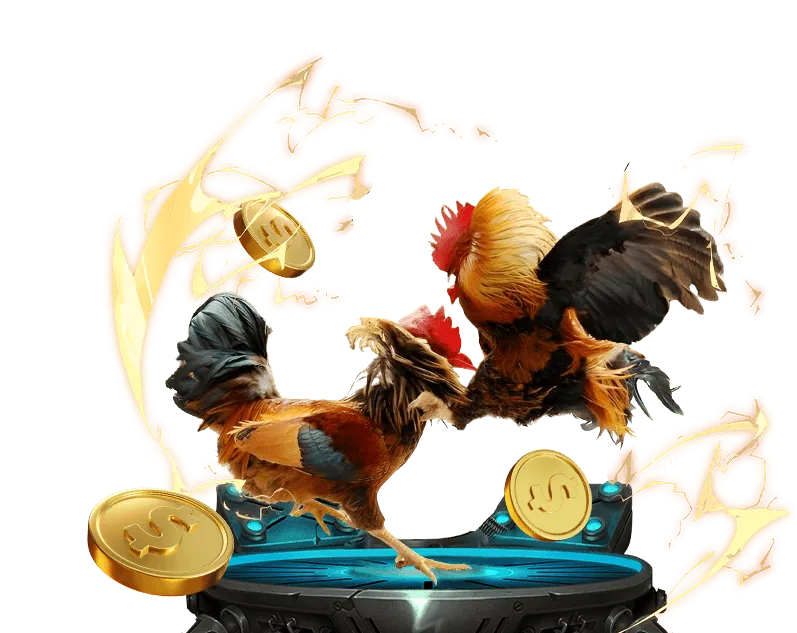 Cá cược thể thao lc888 win